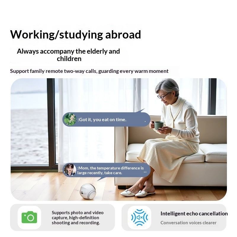 AI Pet Entertainment / Mobile Camera Robot