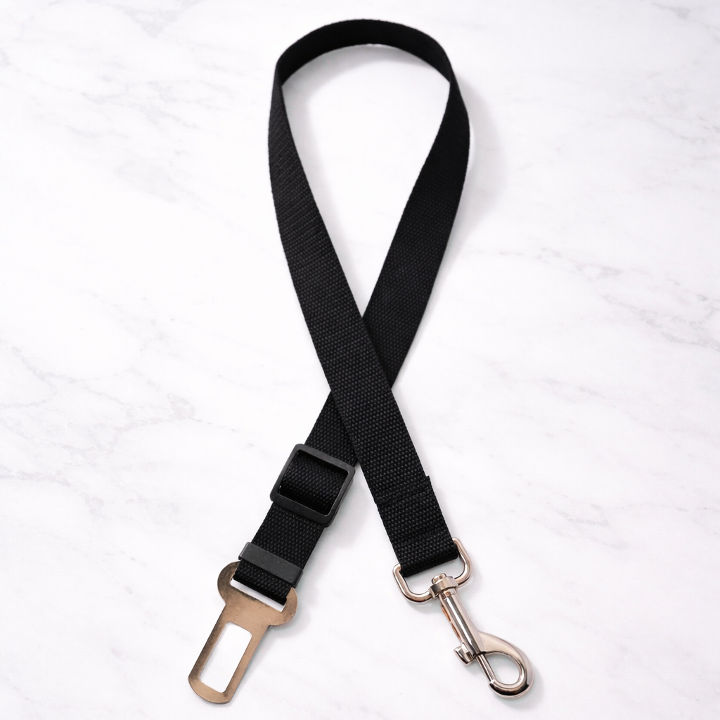 Black dog leash with clasp on a white background