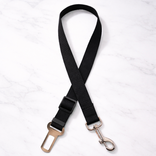 Black dog leash with clasp on a white background